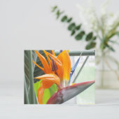 100_0344はがき – BIRD OF PARADISE ポストカード (スタンド正面)