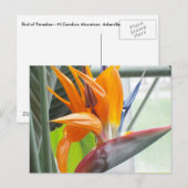 100_0344はがき – BIRD OF PARADISE ポストカード (正面/裏面)