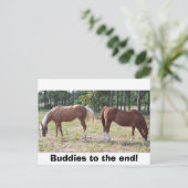 100_0350、最後にバディ! ポストカード (スタンド正面)