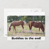100_0350、最後にバディ! ポストカード (正面/裏面)
