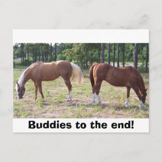 100_0350、最後にバディ！ ポストカード