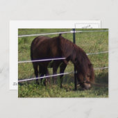 100_0375 ポストカード (正面/裏面)