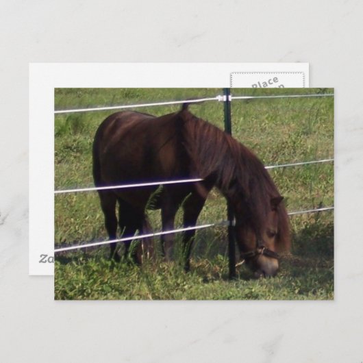 100_0375 ポストカード (正面/裏面)