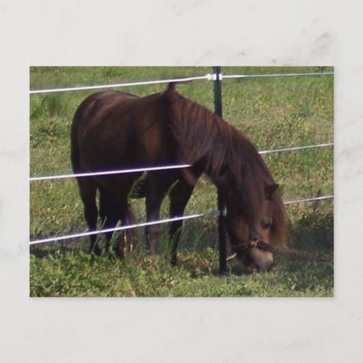 100_0375 ポストカード (正面)