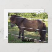 100_0376, こんにちは!! ポストカード (正面/裏面)