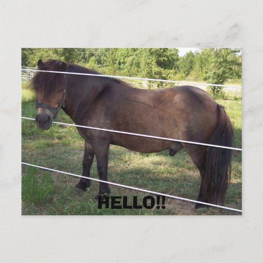 100_0376, こんにちは!! ポストカード (正面)