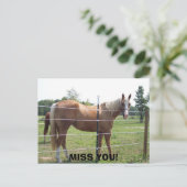 100_0415恋しく思! ポストカード (スタンド正面)