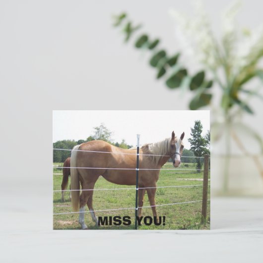 100_0415恋しく思! ポストカード (スタンド正面)