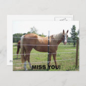 100_0415恋しく思! ポストカード (正面/裏面)