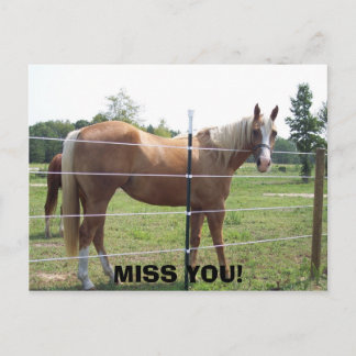 100_0415恋しく思! ポストカード