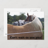 100_0416、お待ちしておりません! ポストカード (正面/裏面)