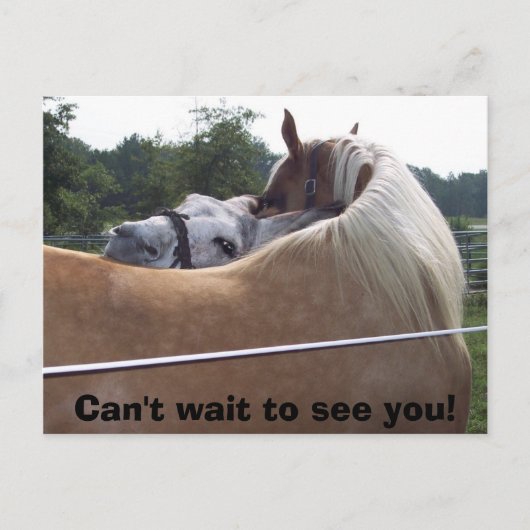 100_0416、お待ちしておりません! ポストカード (正面)