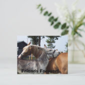 100_0424、永遠の友だち！ ポストカード (スタンド正面)