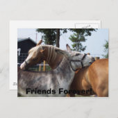 100_0424、永遠の友だち！ ポストカード (正面/裏面)