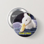 100_0517.jpg .w560h420のチームレモン 缶バッジ (正面&裏面)