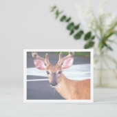 100_0606 ポストカード (スタンド正面)