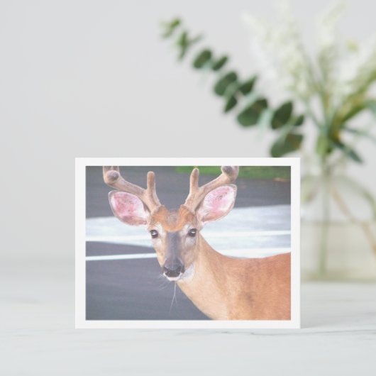 100_0606 ポストカード (スタンド正面)