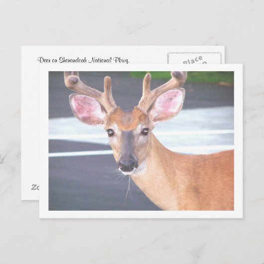 100_0606 ポストカード (正面/裏面)