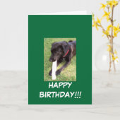 100_0695、ハッピーバースデー!!! カード (黄色い花)