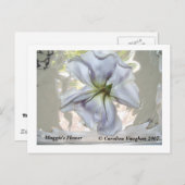 100_0709、マギーの花、カロリーヌ・ヴォーガン2007 ポストカード (正面/裏面)