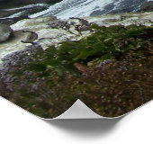 100_0878 ポスター (角)