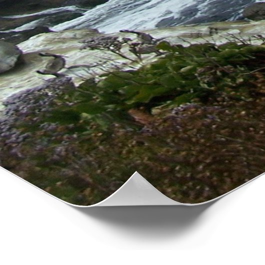 100_0878 ポスター (角)