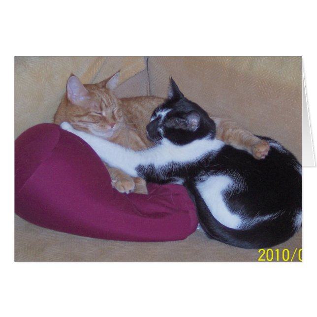 100_1102 (正面横)