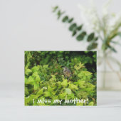 100_1805母恋しく思だ! ポストカード (スタンド正面)