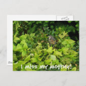 100_1805母恋しく思だ! ポストカード (正面/裏面)