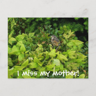 100_1805母恋しく思だ！ ポストカード
