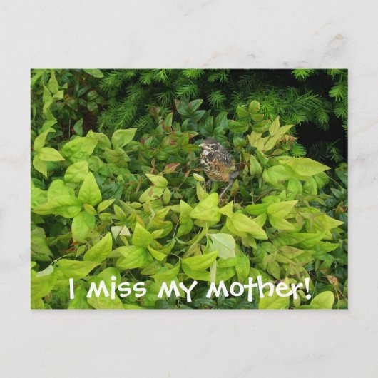 100_1805母恋しく思だ! ポストカード (正面)