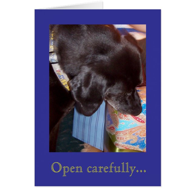 100_1841は、…注意深く開きます (正面)