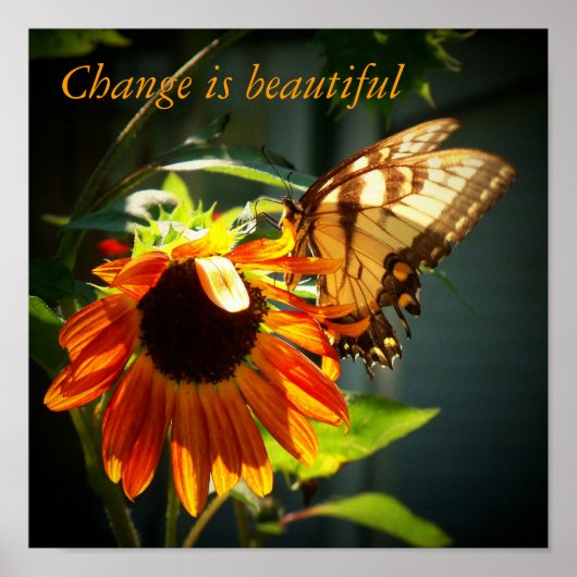 100_1974、変化は美しい ポスター (正面)