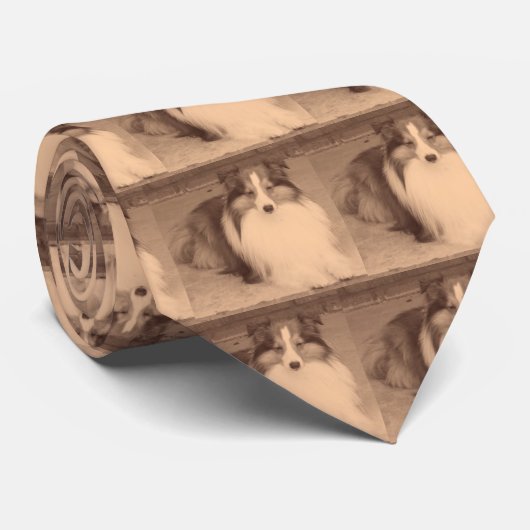 100_2224、100_2224、100_2224、100_2224、100_222… ネクタイ (ロール)