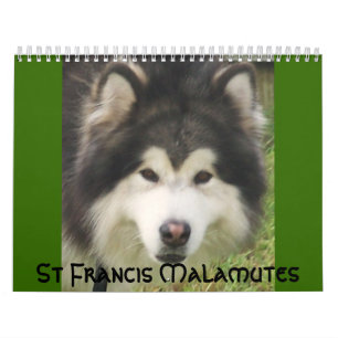 100_2382のSt. Francisのマラミュート カレンダー
