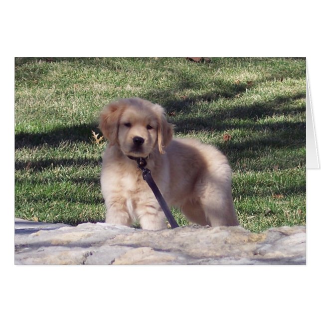 100_2426 (正面横)