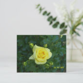 100_3464 ポストカード (スタンド正面)