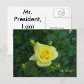 100_3464 ポストカード (正面/裏面)