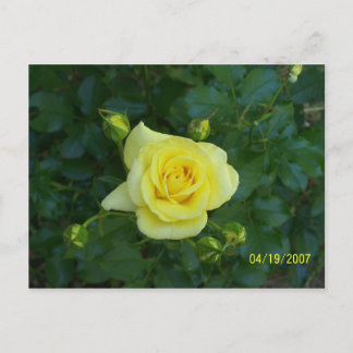 100_3464 ポストカード