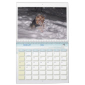 100_5963、私はヨークシャーテリアを愛します! カレンダー (2月 2026)