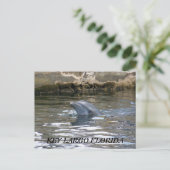 100_8578、鍵LARGOフロリダ ポストカード (スタンド正面)