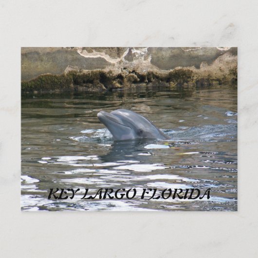 100_8578、鍵LARGOフロリダ ポストカード (正面)