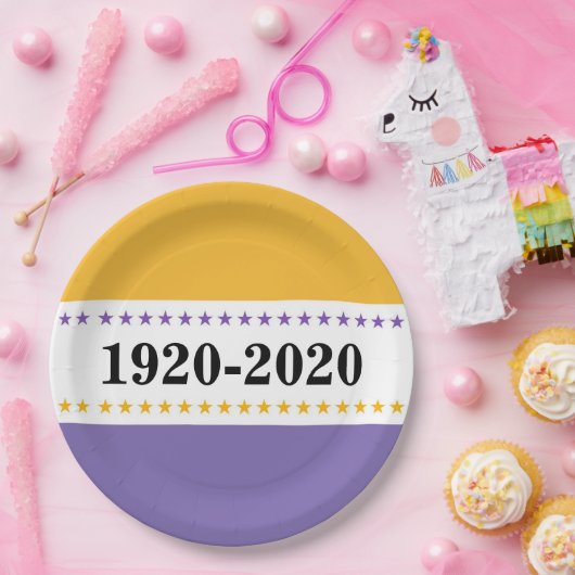 100th記念日の第19修正の勝利の旗の投票 ペーパープレート (パーティー)