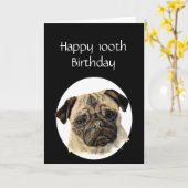 100th誕生日のユーモアペット、パグ犬の付き添い カード (黄色い花)
