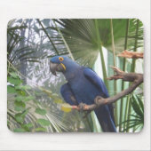 101_0361 マウスパッド (正面)