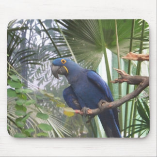 101_0361 マウスパッド