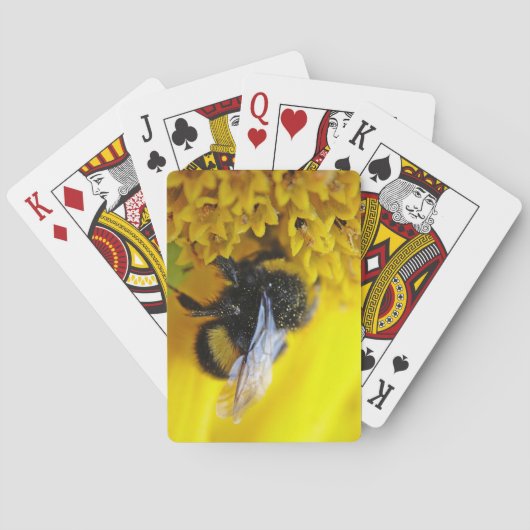 101.JPG トランプ (裏面)