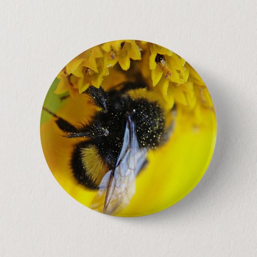 101.JPG 缶バッジ (正面)