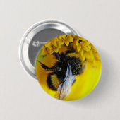 101.JPG 缶バッジ (正面&裏面)