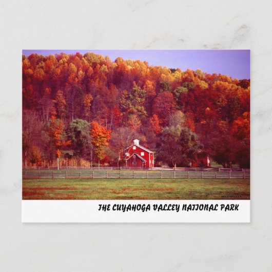 102701-16PC ポストカード (正面)